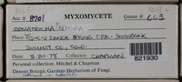 Image Associated With the Occurence